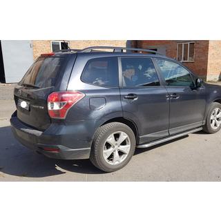 Stranski pragovi Premium (2 kos, nerj.) fotografija 1