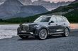 Pregled polno velikanskega križanca BMW X7 fotografija 1