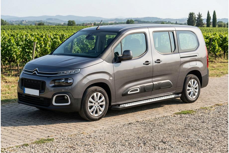 Citroen Berlingo/Multispace 2018– Stranske stopnice Allmond Grey (2 kosa, aluminij) Dolga medosna razdalja Image