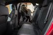 Nova generacija kompaktnega križanca Ford Kuga fotografija 10