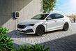 Pregled Skoda Octavia za modelno leto 2020 fotografija 4
