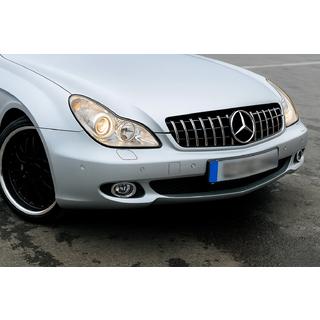 Sprednja rešetka hladilnika (2008-2010, GT Panamericana) Mercedes CLS C219 2004–2010 fotografija 1