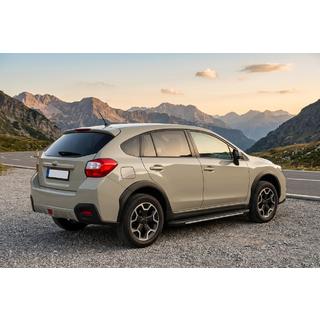 Stranske stopnice Bosphorus Grey (2 kos., aluminij) Subaru XV 2011–2017 fotografija 1