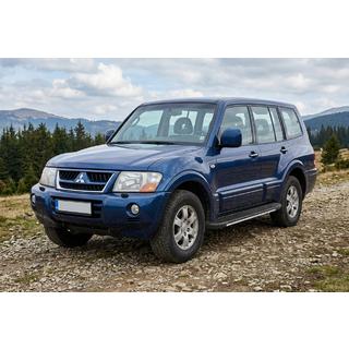 Stranske stopnice Bosphorus Grey (2 kos., aluminij) Mitsubishi Pajero Wagon III 1999–2006 fotografija 1
