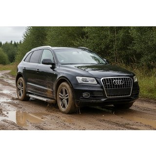 Bočne stopnice New Vision Grey (2 kos, aluminij) Audi Q5 2008–2017 fotografija 1