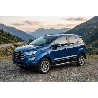 Stranske stopnice New Vision Black (2 kosa, aluminij) Ford Ecosport 2013–2022 fotografija 1
