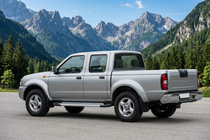 Nissan NP300 1999–2015 Bočne stopnice New Vision Grey (2 kos, aluminij) fotografija 1
