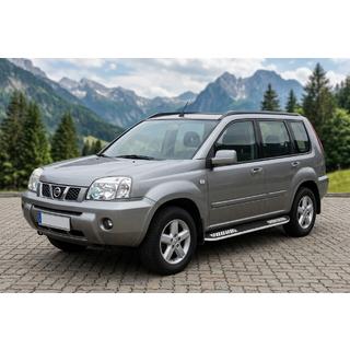 Stranske stopnice Tayga V2 (2 kos, aluminij) fotografija 1