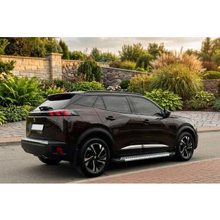 Bočne stopnice New Vision Grey (2 kos, aluminij) Peugeot 3008 2016–2023 fotografija 1