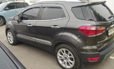 Ford Ecosport 2013–2022 Letve na vratih (4 kos, nerjaveče jeklo) fotografija 3