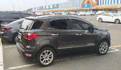 Ford Ecosport 2013–2022 Letve na vratih (4 kos, nerjaveče jeklo) fotografija 1