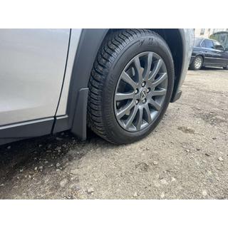 Blatne zavesice Premium (4 kos) Lexus UX 2018– fotografija 3