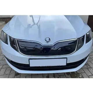 Zimska rešetka (2017-2020) fotografija 1