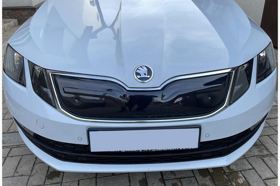 Skoda Octavia III A7 2013–2019 Zimska rešetka (2017-2020) mat Image