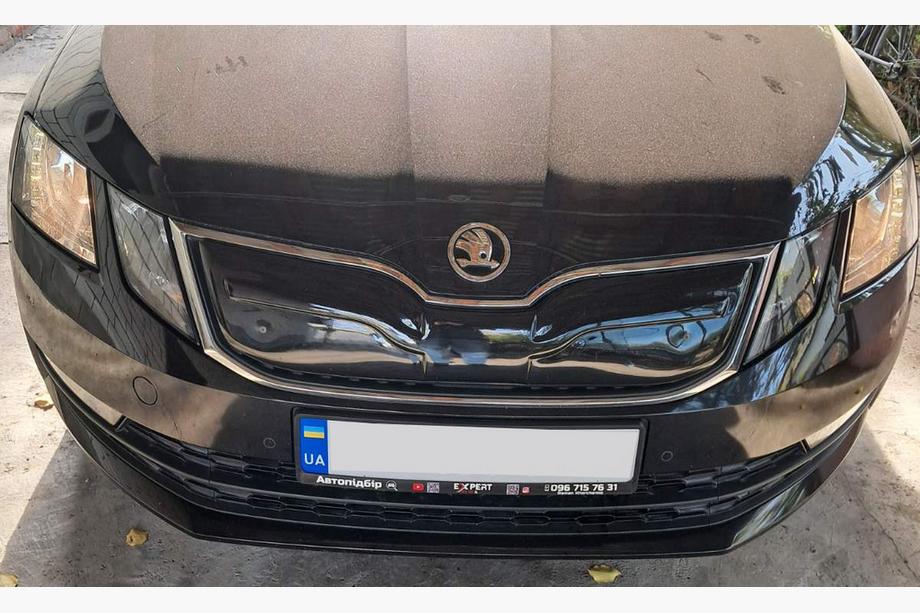 Skoda Octavia III A7 2013–2019 Zimska rešetka (2017-2020) Fotografija 7