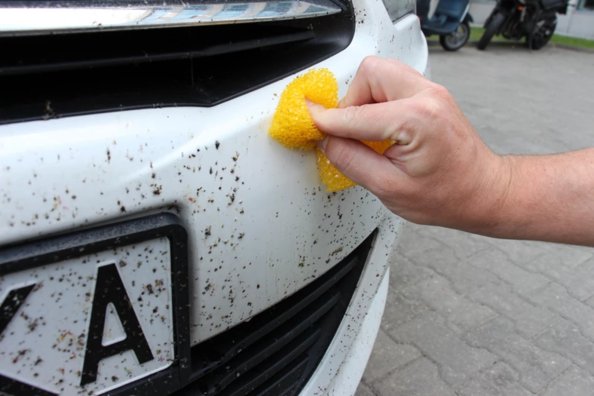 Kako odstraniti zasušene insekte z avtomobila?