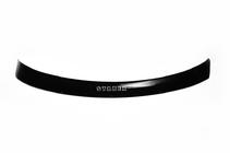 Hyundai H300, H1, Starex 2008–2020 Deflektor motornega pokrova 2008-2017 (VIP) fotografija 2