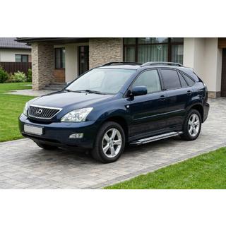 Stranske stopnice Rainbow (2 kos, aluminij) Lexus RX 2003–2009 fotografija 1