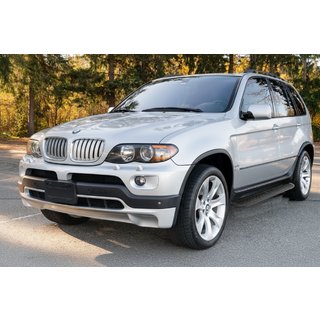 Stranske stopnice Tayga Black (2 kos, aluminij) BMW X5 E53 1999–2006 fotografija 1
