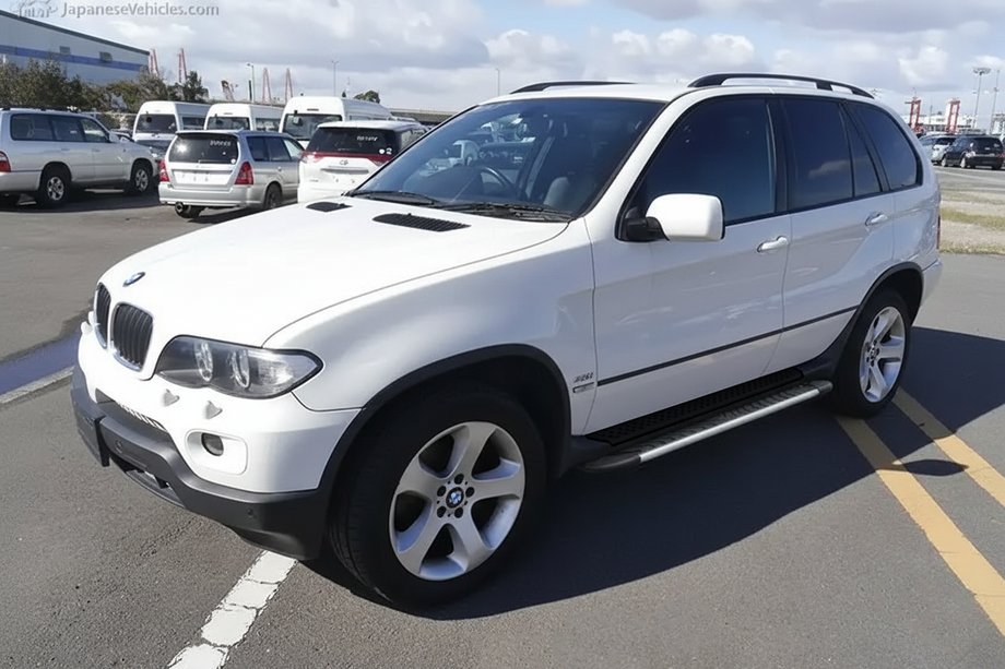 BMW X5 E53 1999–2006 Stranske stopnice Bosphorus Grey (2 kos, aluminij) Image