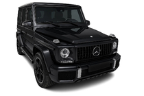 Mercedes G razred W463 1990–2018 Sprednja maska (GT Panamericana, brez kroma) fotografija 4