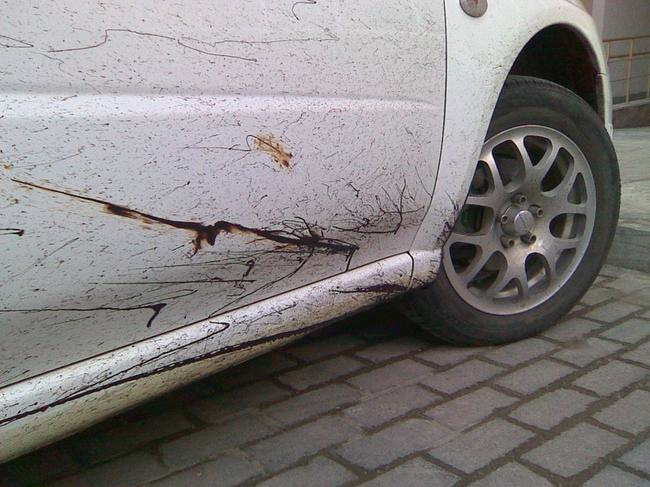 Kako odstraniti bitumen z avtomobila?