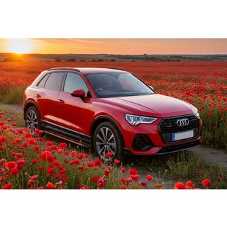 Bočne stopnice Maya Red (2 kos, aluminij) fotografija 1