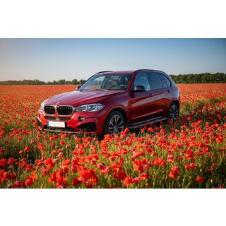 Bočne stopnice Maya Red (2 kos, aluminij) BMW X5 F15 2013–2018 fotografija 1