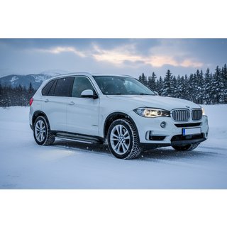 Stranske stopnice Rainbow (2 kos, aluminij) BMW X5 F15 2013–2018 fotografija 1