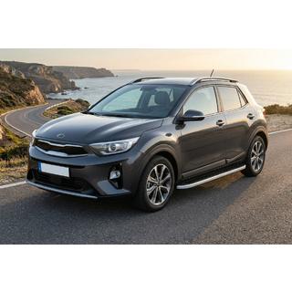Stranski pragovi Tayga Grey (2 kosa, aluminij) fotografija 1