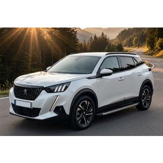 Stranske stopnice BlackLine (2 kos, aluminij) Peugeot 2008 2019– fotografija 1