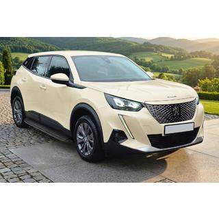 Stranski pragovi Tayga Black (2 kos, aluminij) fotografija 1
