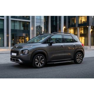 Bočne stopnice Bosphorus Grey (2 kos, aluminij) Citroen C-3 Aircross 2017–2024 fotografija 1