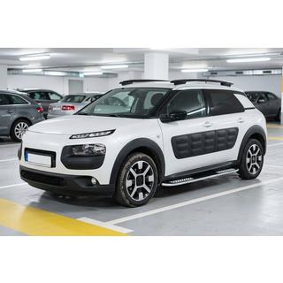 Stranske stopnice Tayga V2 (2 kos, aluminij) fotografija 1