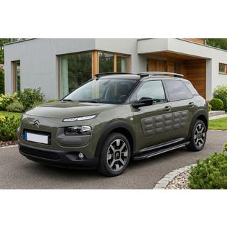 Bočne stopnice Bosphorus Grey (2 kos, aluminij) Citroen Cactus 2014–2020 fotografija 1