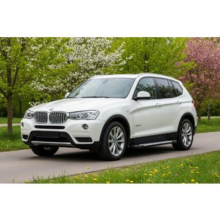 Stranske stopnice Allmond Grey (2 kosa, aluminij) BMW X3 F25 2011–2018 fotografija 1