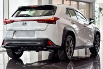 Lexus UX 2018– Vetrni deflektorji oken s kromiranim okrasnim trakom (4 kosi, HIC) fotografija 3