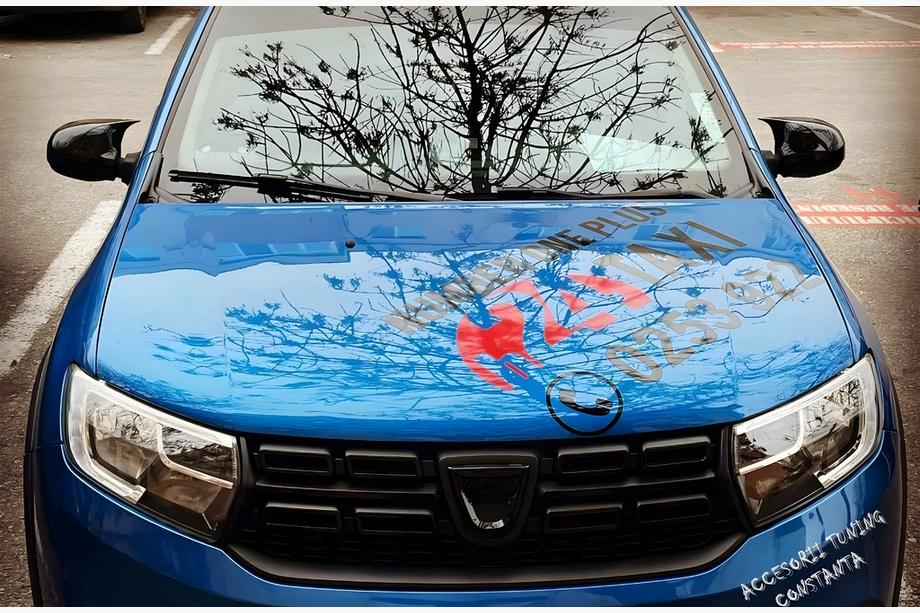Renault Logan II 2013–2022 Pokrovi ogledal BMW-Style (2 kos) Fotografija 7