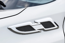 Toyota Rav 4 2013–2018 Obrobe blatnikov Libao 2016-2018 (2 kosa, plastika) fotografija 1
