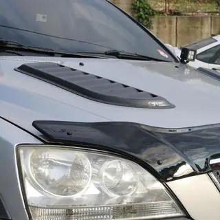 Univerzalni deflektor pokrova motorja Eurocap (2 kosa, ABS) fotografija 3