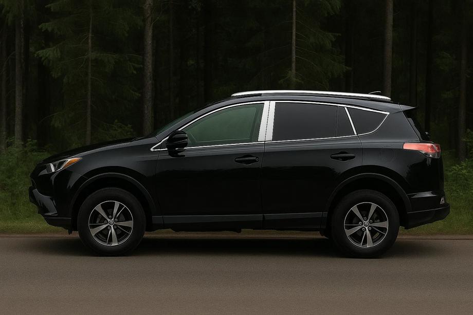 Toyota Rav 4 2013–2018 Popolna obroba stekel (komplet) Image