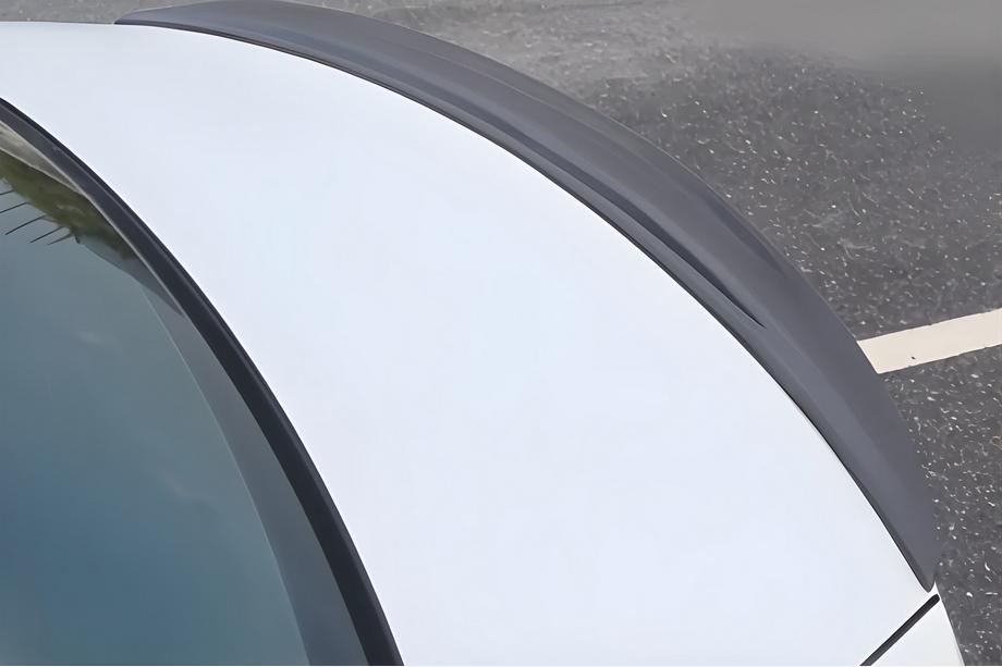 BMW serija 3 G20/G21 2018– P-Style spojler (za G20/G80, črna sijaj) Image