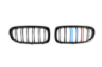 BMW serija 3 F30/F31 2012–2019 M-Look ledvične rešetke (M-Color) fotografija 4