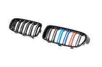 BMW serija 3 F30/F31 2012–2019 M-Look ledvične rešetke (M-Color) fotografija 6
