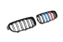 BMW serija 3 F30/F31 2012–2019 M-Look ledvične rešetke (M-Color) fotografija 5