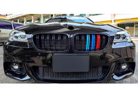BMW serija 5 F10/F11 2010–2016 M-Look ledvične rešetke (M-Color) fotografija 3