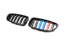 BMW serija 5 F10/F11 2010–2016 M-Look ledvične rešetke (M-Color) fotografija 4