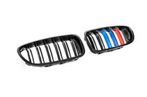 BMW serija 5 F10/F11 2010–2016 M-Look ledvične rešetke (M-Color) fotografija 5