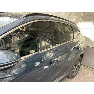 Spodnje okenske letve (6 kos, nerjaveče jeklo) Hyundai Tucson NX4 2021– fotografija 3